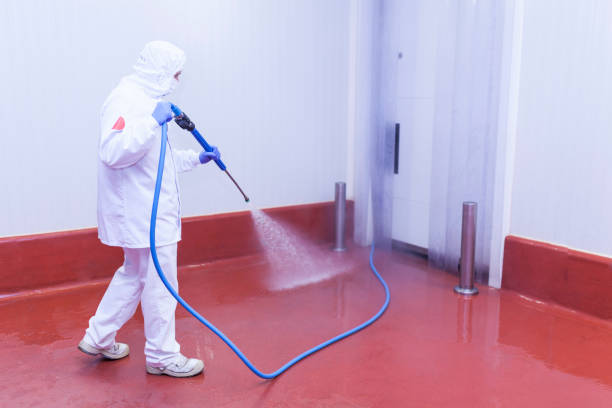 Reliable Fort Lupton, CO Pressure Washing Services Solutions